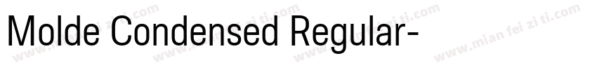 Molde Condensed Regular字体转换